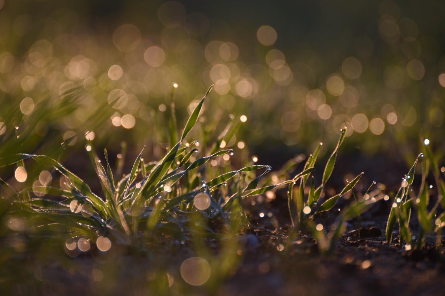 La meraviglia come modalit di vivere: Ostia attraverso il mio sguardo